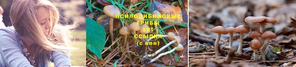 трава Белоозёрский