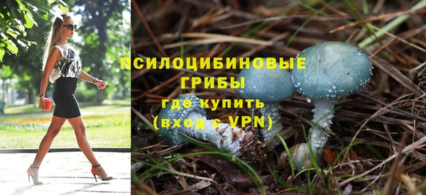 метадон Белокуриха