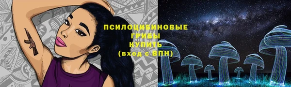 метадон Богородицк