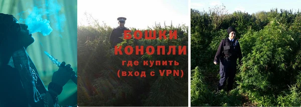 каннабис Богданович