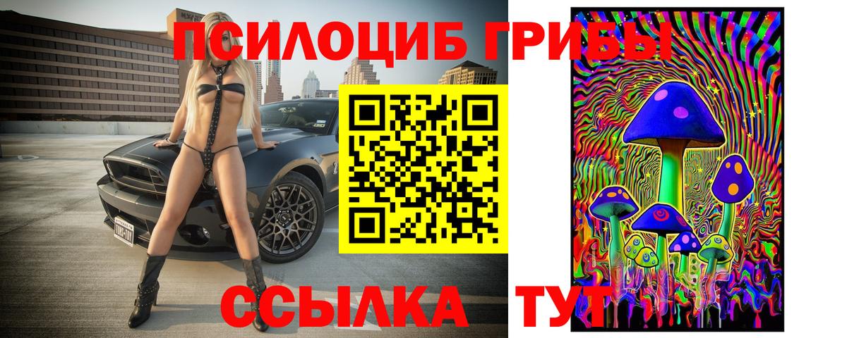 Галлюциногенные грибы Cubensis Армавир